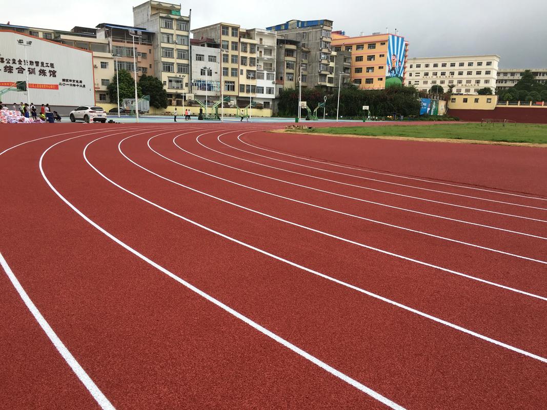 哈密地区塑胶跑道塑胶跑道材料 - 排名